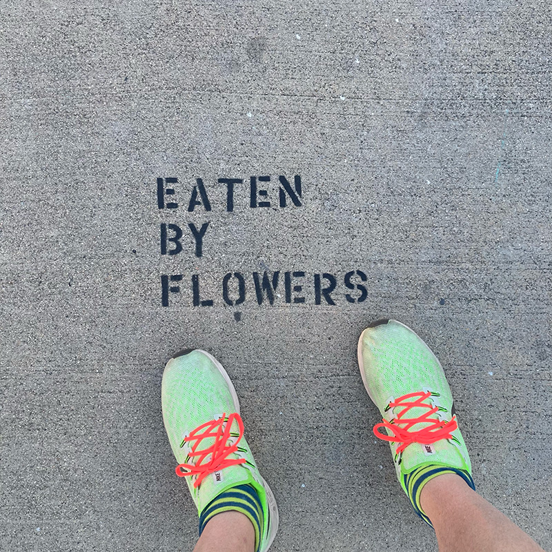 Eaten by flowers.
